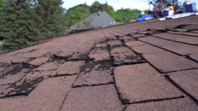 Best Solar Panel Roofing Installation  in Hazen, ND