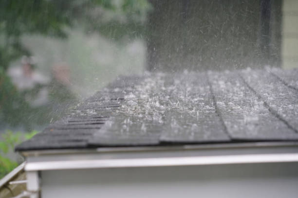 Best Roof Installation  in Hazen, ND