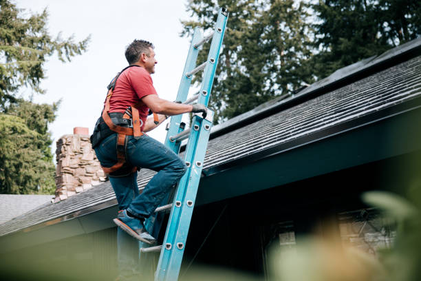 Best Roof Maintenance and Cleaning  in Hazen, ND