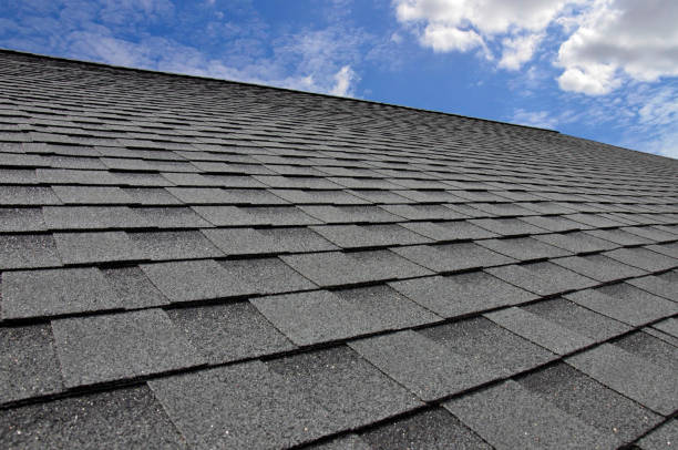 Best Roof Moss and Algae Removal  in Hazen, ND