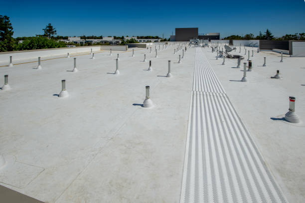 Best Cold Roofs  in Hazen, ND